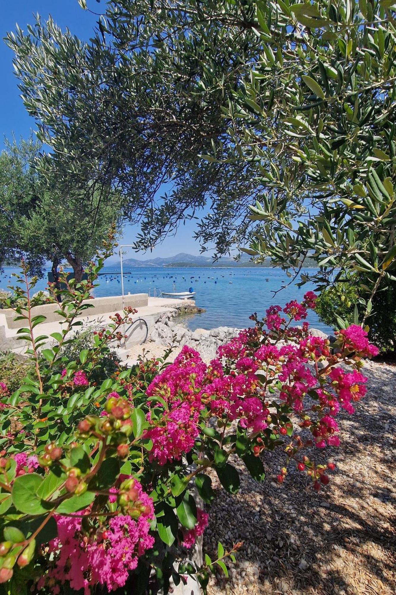 Apartments By The Sea Zuronja, Peljesac - 13202 Putniković Exteriér fotografie